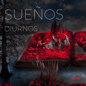 Sueños diurnos