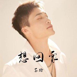 想回家