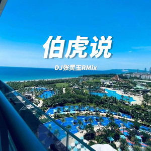 伯虎说 DJ张灵玉RMix