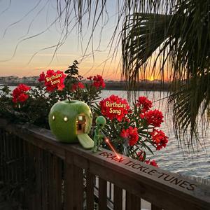 जन्मदिन गीत (Birthday Song (Hindi)