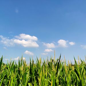 遇见小小明-这一生关于你的风景