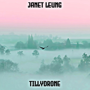 Tillydrone