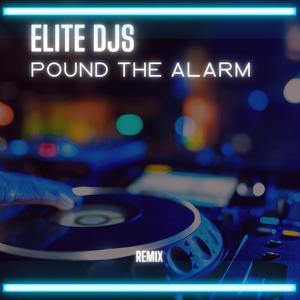 Pound The Alarm (Remix)