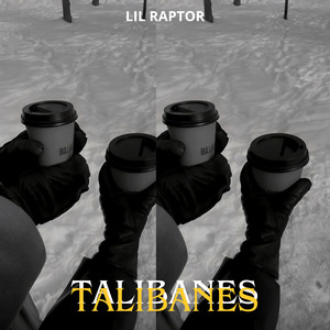 Talibanes