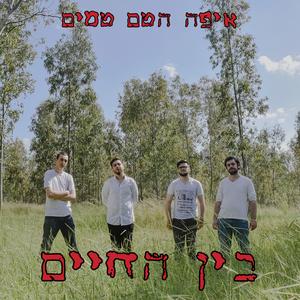 בין החיים