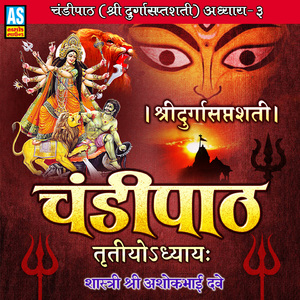 Chandi Path (Chandi Path Shree Durga Saptshati Adhyay)