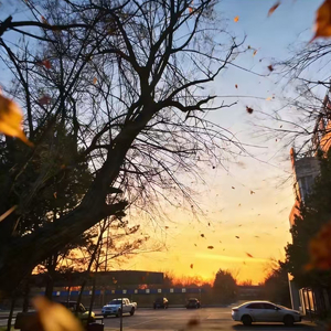 许我一个走南闯北的勇气