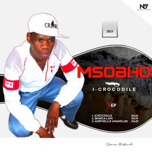 Asphelile Amaholidi (Radio Edit)