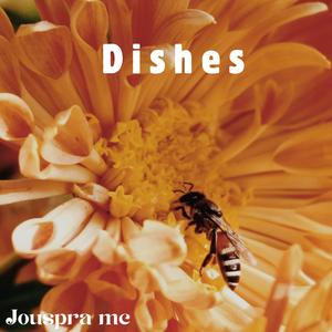 Dishes