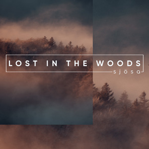 Lost In The Woods