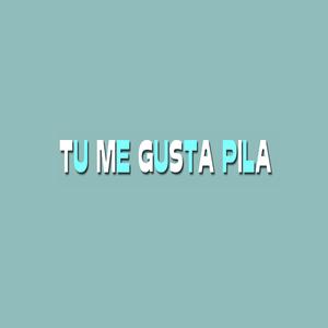 Tu Me Gusta Pila