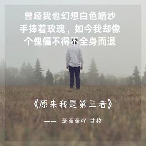 原来我是第三者