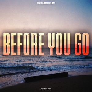 Before You Go