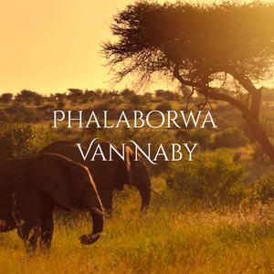 Phalaborwa van naby