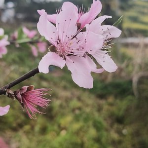 等你也等我自己