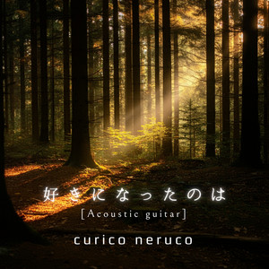 好きになったのは （Acoustic guitar  Ver.）
