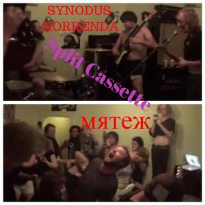 Somewhere Along the Line Things Went Terribly Wrong and Now Mr.Burns is My Favorite Simpsons Character