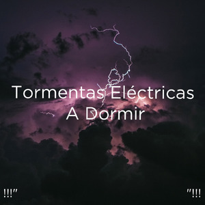 호우 잠