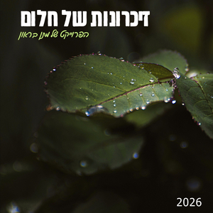 זיכרונות של חלום 2026