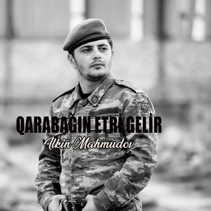 Qarabağın Etri gelir