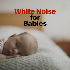 Basinet