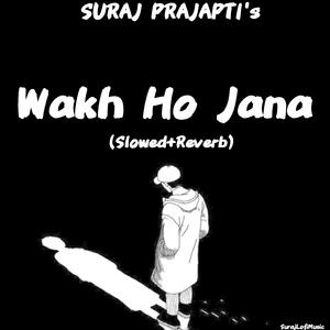 Wakh Ho Jana - (Slowed+Reverb)