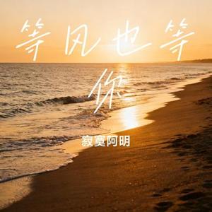 等风也等你 (Cover 苏晚清)