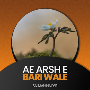 Ae Arsh e Bari Wale