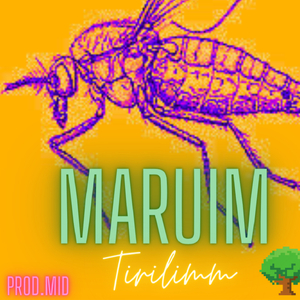 MARUIM