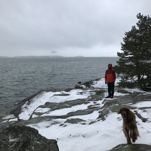 Nuuksio National Park Spring Stream
