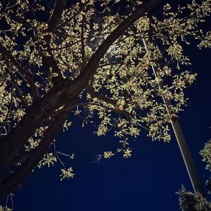 雨夜重生