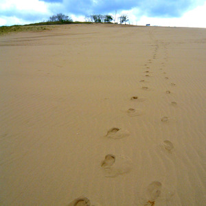 取扱説明書(トリセツ)