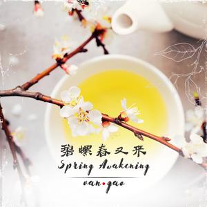 Spring Awakening 碧螺春又来