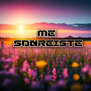 Me Sonreiste