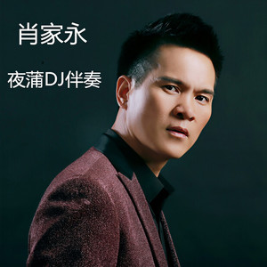 夜蒲 (DJ版伴奏)