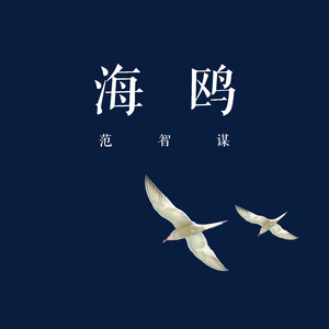 海鸥