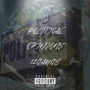 POLITICAL OPINIONS
