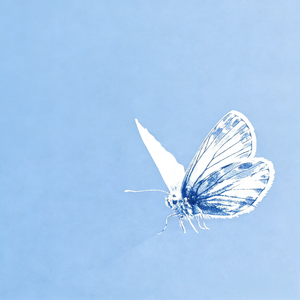 【免费伴奏】 Melodic Rap/R&B PopRap Trap