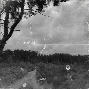 Cocooned (Live) (Live)