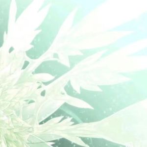 无数的......花瓣......在她的背后，就像羽化的蝴蝶的翅膀一般，大大地伸展开来。