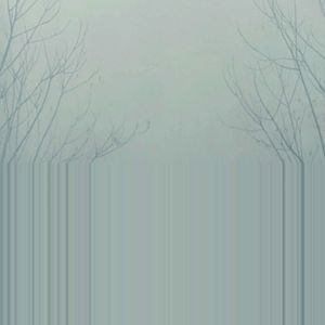 浓雾dense fog