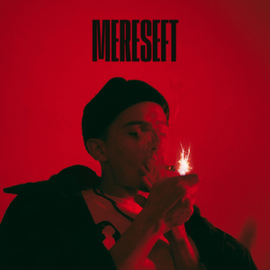 Mereseft
