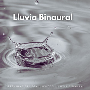 Dirigiendo Bajo La Lluvia