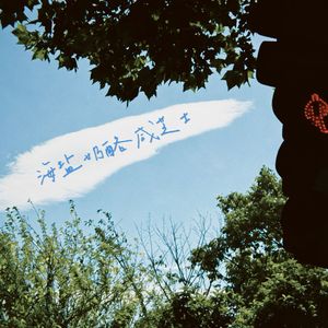 海盐奶酪咸芝士