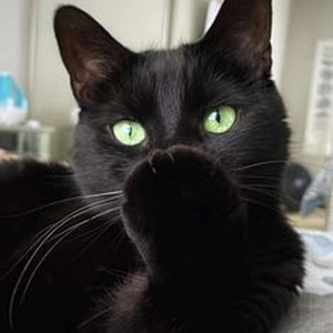 I'm the King (slowed)