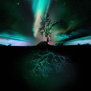 You Don´t Know the Way