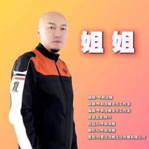 姐姐 (DJ叶亚文Remix)