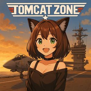 Tomcat Zone