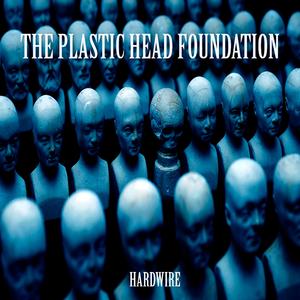 The Plastic Head Foundation