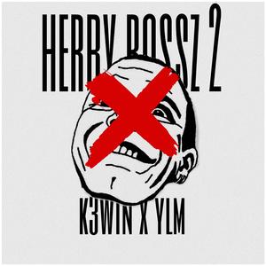HErBY Rossz 2 (feat. YLM)